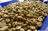 埃塞俄比亚西达摩夏奇索产区咖啡的年产量