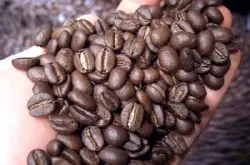 巴西黄波旁咖啡豆的口感风味描述处理法研磨刻度产地简介