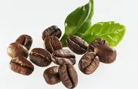 哥伦比亚慧兰咖啡豆特点口感风味描述处理法研磨刻度简介