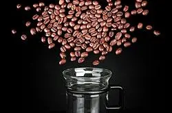 巴拿马长尾鹃冠军蜜处理咖啡豆烛芒风味描述特点研磨刻度