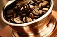 黑色SHB蜜处理的哥斯达黎加法拉蜜精品咖啡豆的特征