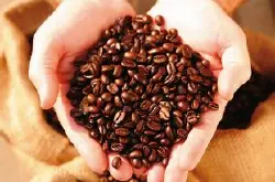 巴拿马花蝴蝶咖啡豆的研磨刻度风味描述处理法