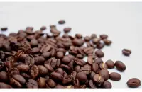 铁皮卡咖啡豆的特点种植环境风味描述口感介绍