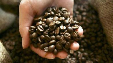 乌干达咖啡特点风味描述处理法研磨刻度品种产地区口感
