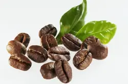 红樱桃计划日晒西达摩咖啡豆风味描述处理法研磨刻度