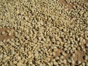 危地马拉安提瓜花神精品咖啡豆的特点种植环境风味描述介绍