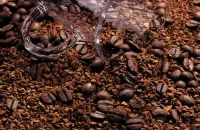 巴布亚新几内亚咖啡豆品种口感处理法研磨刻度产地区简介