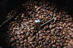 为阿拉比卡混血品种巴拿马蜜处理法卡社艾shb咖啡豆介绍