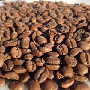 打破了咖啡既有的香醇疆界的萨尔瓦多帕卡马拉咖啡豆