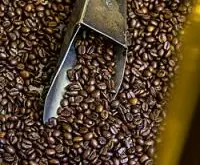 耶加雪菲咖啡日晒处理aricha名字是一个合作社还是产区