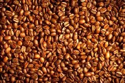 曼中田“雨林咖啡”的出现-强化了云南咖啡的高品质
