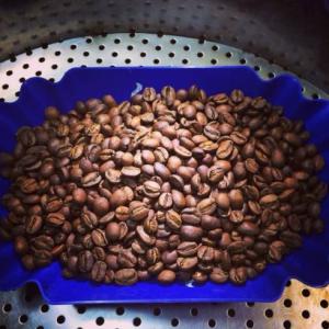 丰富而饱满的耶加雪菲科契尔庄园咖啡豆的处理法