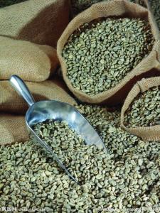 在咖啡豆品种中最适合采用蜜处理的豆子介绍
