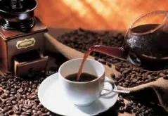 世界最著名的八大咖啡：风味独特的也门摩卡咖啡