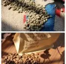 巴拿马波奎特花蝴蝶咖啡豆—含有比蓝山咖啡还贵的咖啡豆品种