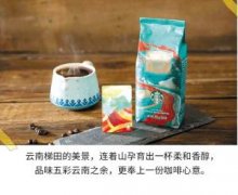 星巴克云南咖啡豆在中国上市