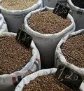 哥伦比亚咖啡风味口感庄园产区介绍拉兹默斯庄园品种简介