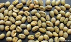 水洗处理的巴拿马艾利达庄园波奎特花蝴蝶咖啡豆介绍精品咖啡
