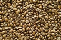 口味清新的厄瓜多尔圣克鲁兹庄园咖啡风味描述品种简介