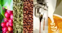 咖啡豆选择速成攻略大全