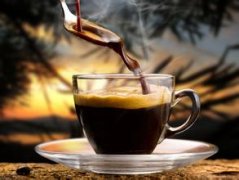 玻利维亚咖啡产国庄园精品咖啡豆雪脉庄园简介