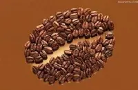 具有酸度适中的风味口感特征的中国云南咖啡产区思茅咖啡豆