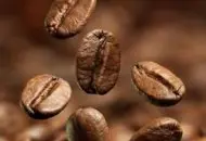 精品咖啡庄园简介：酸度适中含果实般甜味的巴布亚新几内亚咖啡