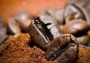 精品咖啡豆简介——巴布亚新几内亚咖啡 水洗阿拉比卡咖啡豆