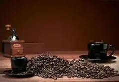 精品咖啡豆庄园介绍：哥斯达黎加庄园La Minita拉米妮塔精品庄园