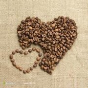 精品咖啡庄园简介：萨尔瓦多咖啡产区咖啡豆的详细介绍