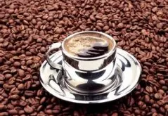 质量上乘的尼加拉瓜咖啡产国庄园产区洛斯刚果庄园简介