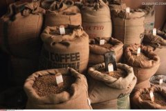 埃塞俄比亚西南方的精品班其玛吉咖啡豆口感风味特征简介