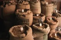 埃塞俄比亚西南方的精品班其玛吉咖啡豆口感风味特征简介