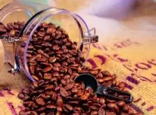 冲煮乞力马扎罗咖啡 制作最具非洲“野性”特色的咖啡