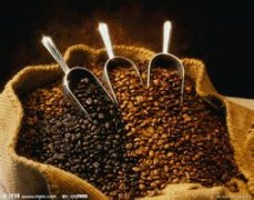 哥斯达黎加钻石山咖啡庄园风味描述研磨度口感特征品种处理法简介