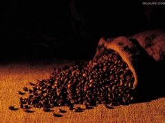 香味独特的哥斯达黎加钻石山火凤凰庄园精品咖啡种植环境简介