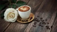 萨尔瓦多珠峰咖啡的风味口感特征处理法简介