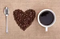 阿里山玛翡咖啡起源发展历程与种植环境简介