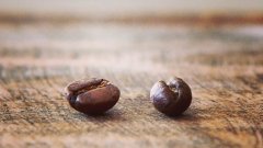 咖啡豆常识：咖啡公豆与母豆的概念和区别