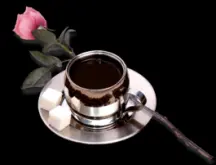 明亮口感的巴拿马丘比特咖啡风味口感精品咖啡豆品种种植简介