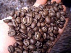 优雅而复杂的巴拿马埃斯美拉达庄园波奎特花蝴蝶咖啡豆处理法研磨