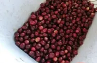 厄瓜多尔哈森达咖啡园产区精品咖啡豆研磨度烘焙程度杯测结果简介