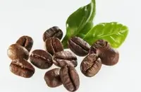 非洲咖啡产国卢旺达咖啡奇迈尔庄园咖啡种植情况气候海拔简介