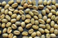 清淡酸味的坦桑尼亚咖啡北部高地吉利马札庄园咖啡种植情况市场价