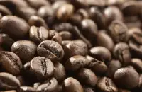 丰富花果香的西达摩咖啡庄园泰德庄园产区咖啡品种种植市场价格简