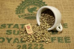 香醇的尼加拉瓜咖啡庄园喜悦庄园咖啡研磨度烘焙程度处理方法简介