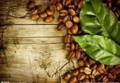 卡蒂姆蓝山精品咖啡豆种植情况气候海拔简介