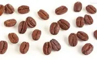 班其玛吉精品咖啡豆起源发展历史文化简介