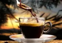 哥斯达黎加黄蜜处理圣路易斯咖啡豆的风味口感香气特征描述简介
