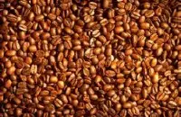 颗粒饱满的巴拿马丘比特咖啡研磨度烘焙程度处理方法简介